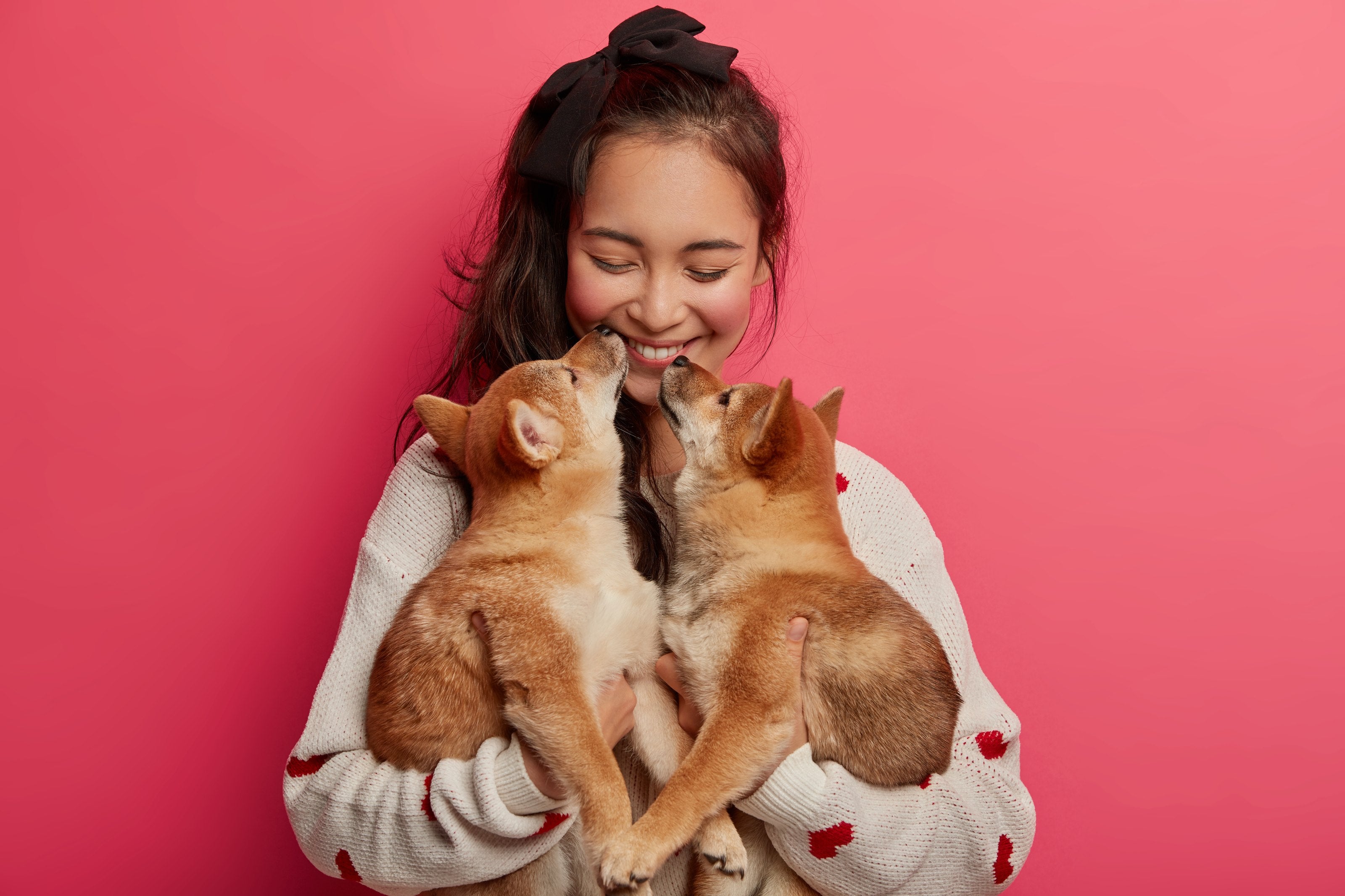 Woman holding two Shiba Inu puppies who are licking her face