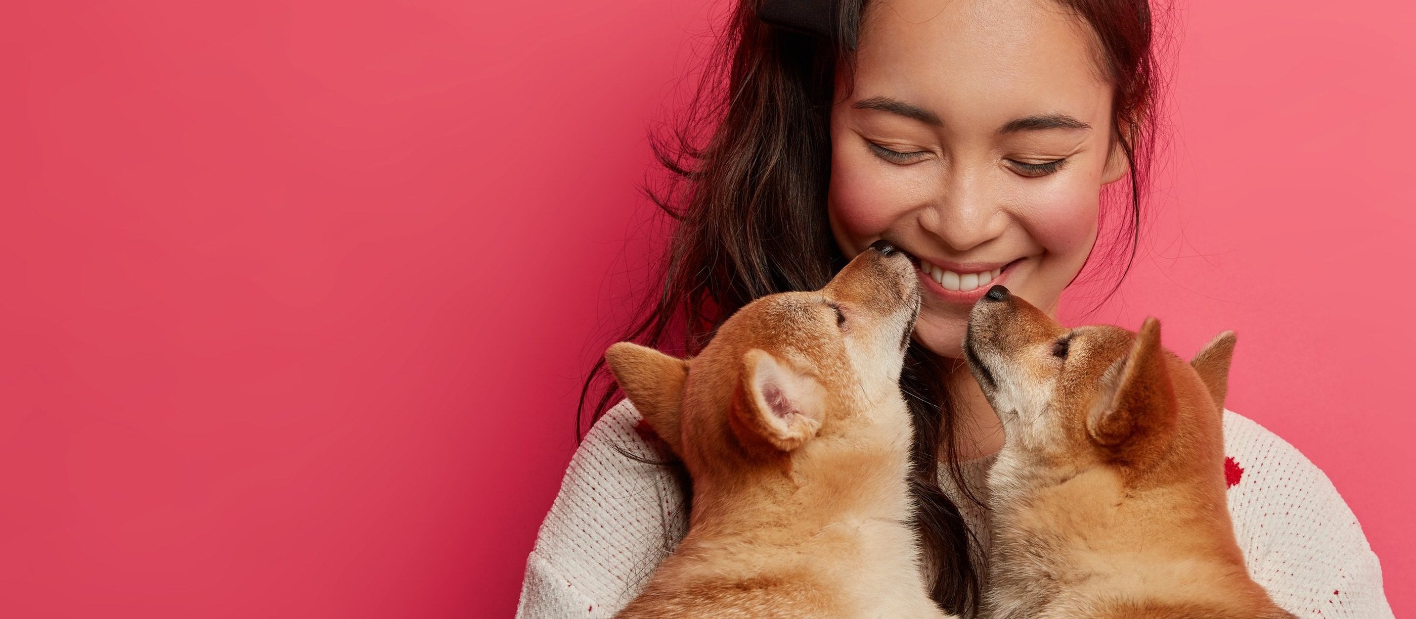 A woman holding two Shiba Inu puppies who are licking her face