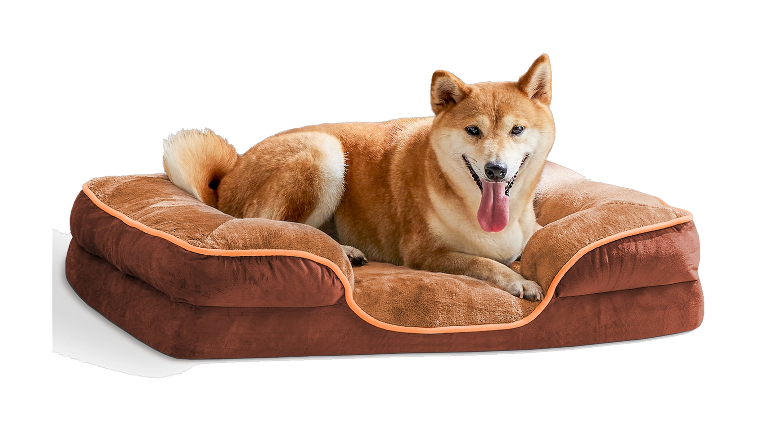 Ortholoom memory foam pet bed with a dog resting on it